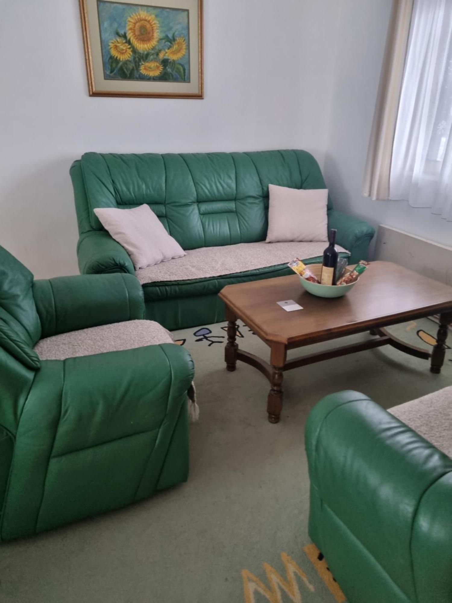 Kraljevi Konaci Olja Apartment Zlatibor Ngoại thất bức ảnh